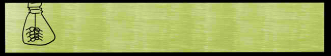 topbloglink1